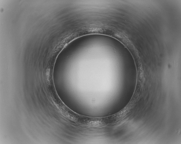 X0000057090066200509231700