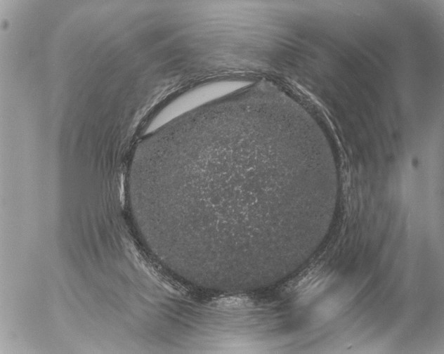 X0000057090067200509231700