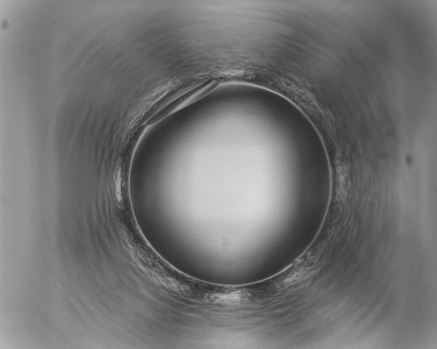 X0000057090068200509231700