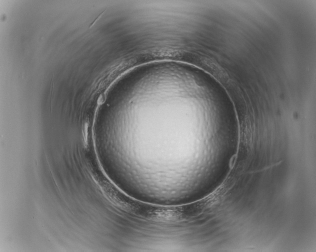 X0000057090070200509231700