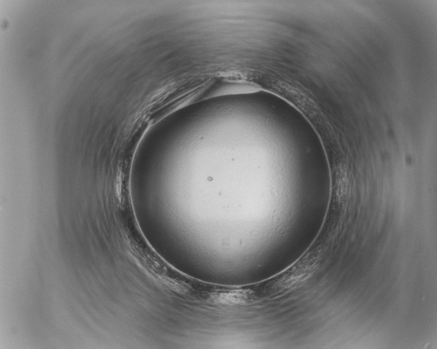 X0000057090072200509231700