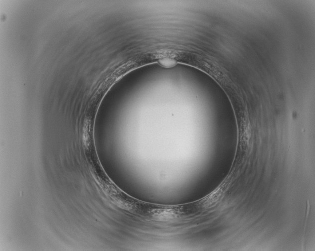 X0000057090074200509231701