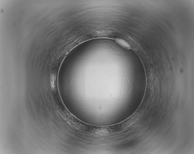 X0000057090075200509231701