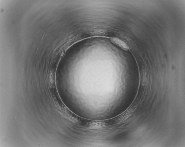 X0000057090077200509231701