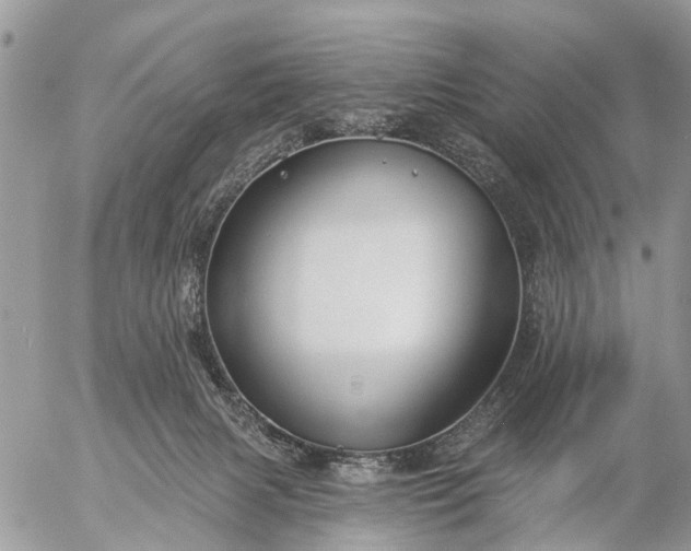 X0000057090079200509231701