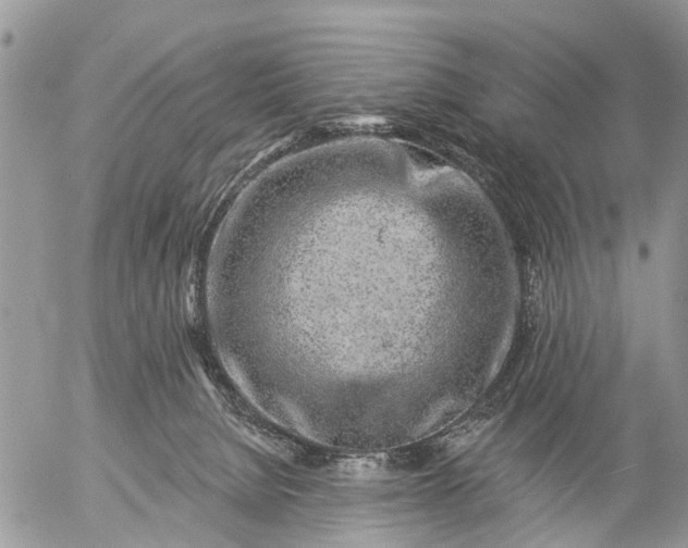 X0000057090080200509231701