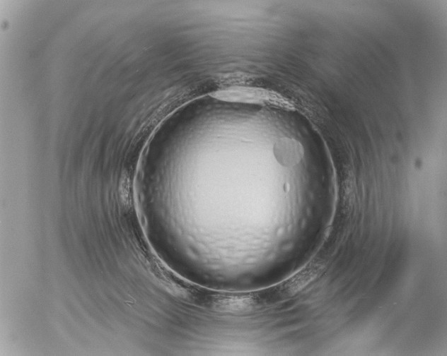 X0000057090081200509231701