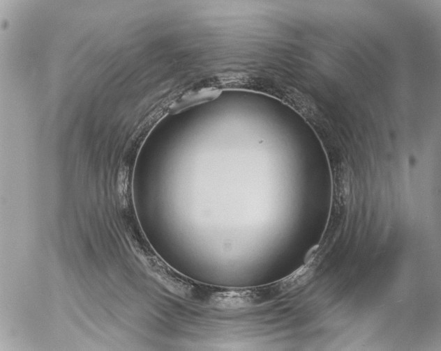 X0000057090082200509231701