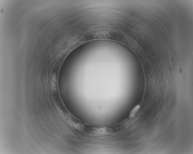 X0000057090083200509231701