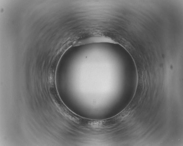 X0000057090084200509231701