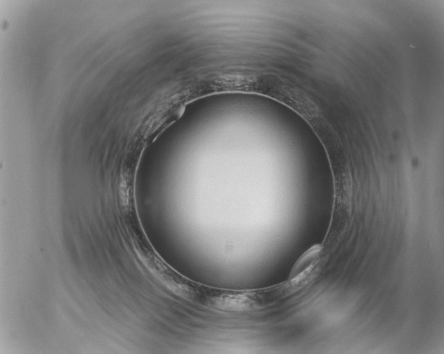 X0000057090086200509231701