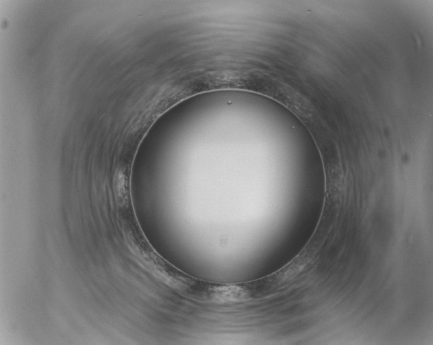 X0000057090087200509231701