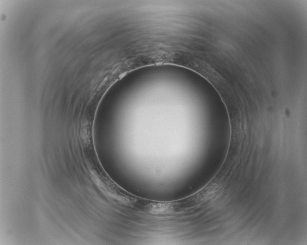 X0000057090088200509231701