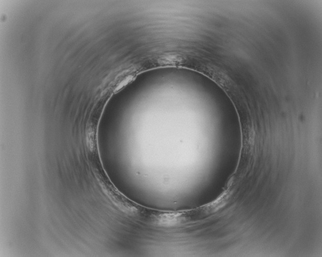 X0000057090090200509231701