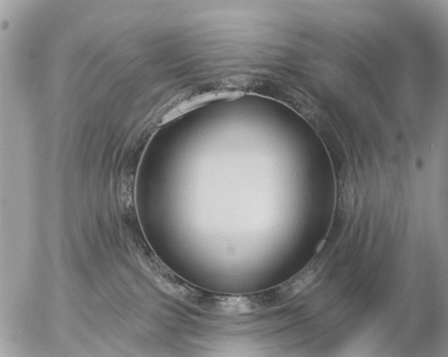 X0000057090091200509231701