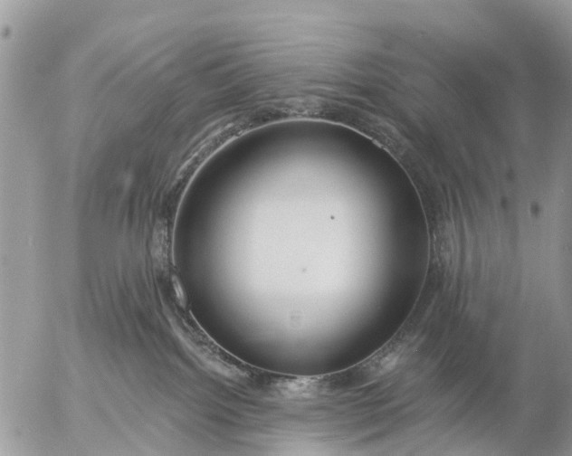 X0000057090092200509231701