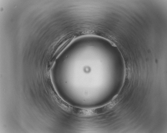 X0000057090093200509231701