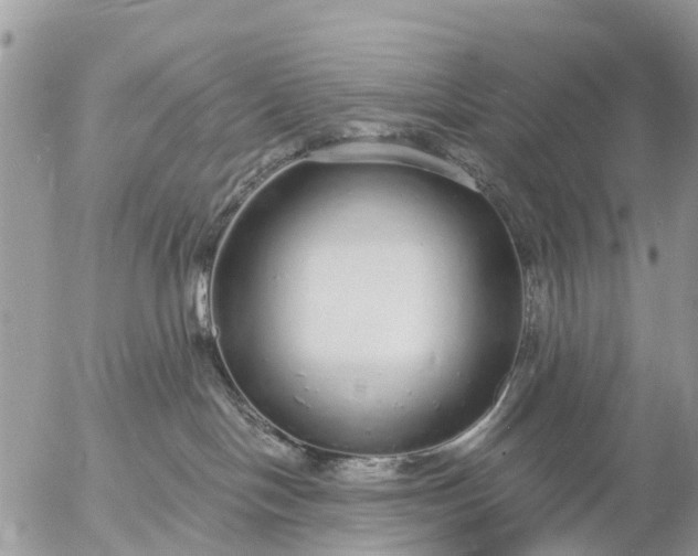 X0000057090094200509231701