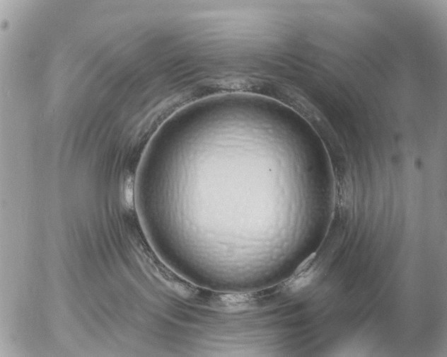 X0000057090095200509231701