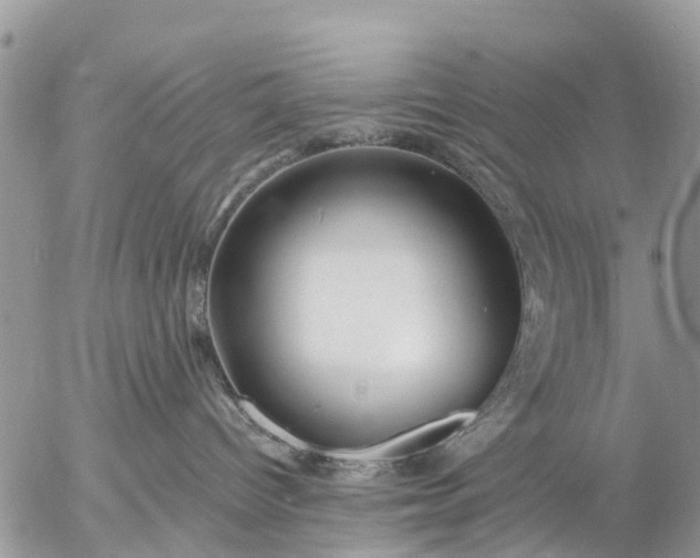 X0000057090096200509231701