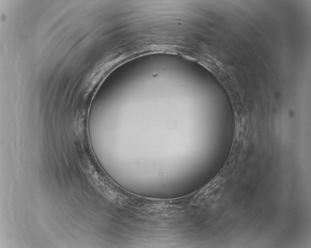 X0000057090098200509231700