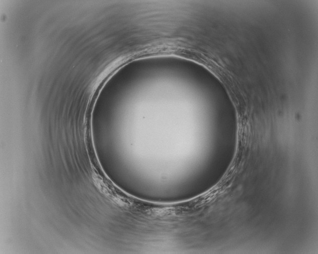 X0000057090100200509231700