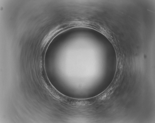 X0000057090103200509231700