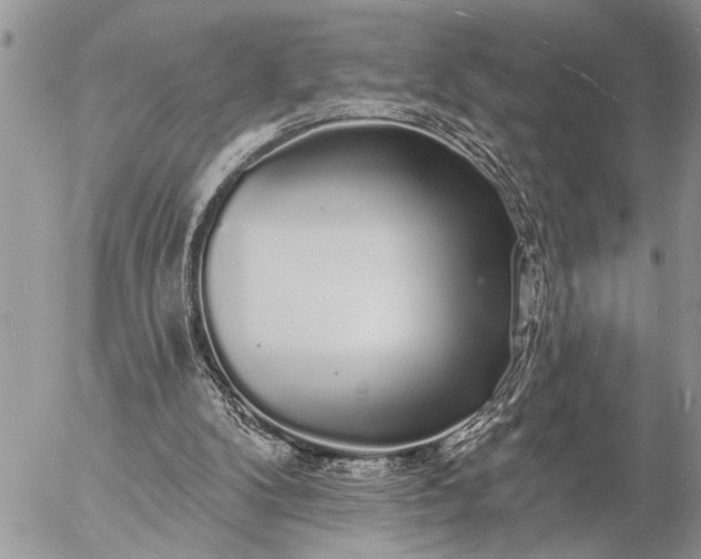 X0000057090104200509231700