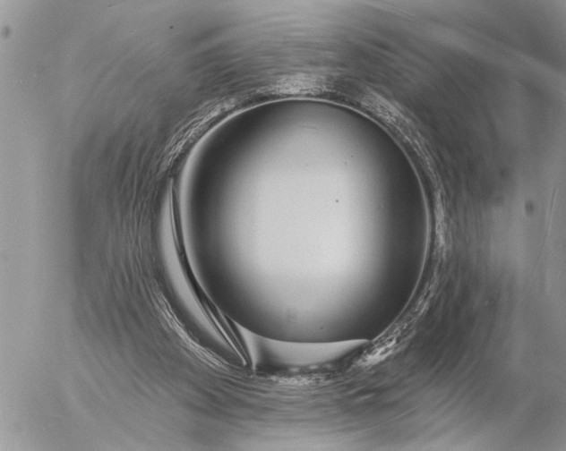 X0000057090105200509231700