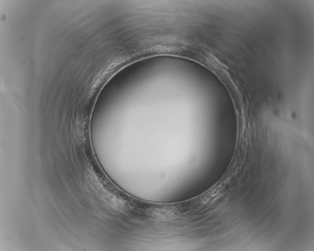 X0000057090106200509231700