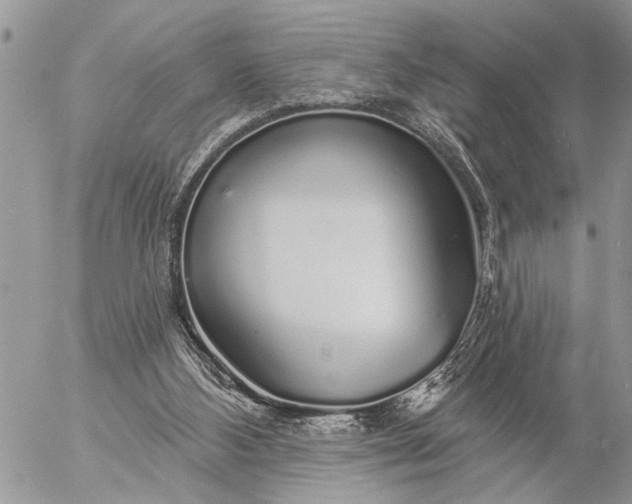 X0000057090108200509231700