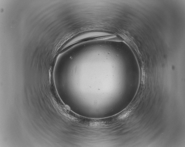 X0000057090109200509231700