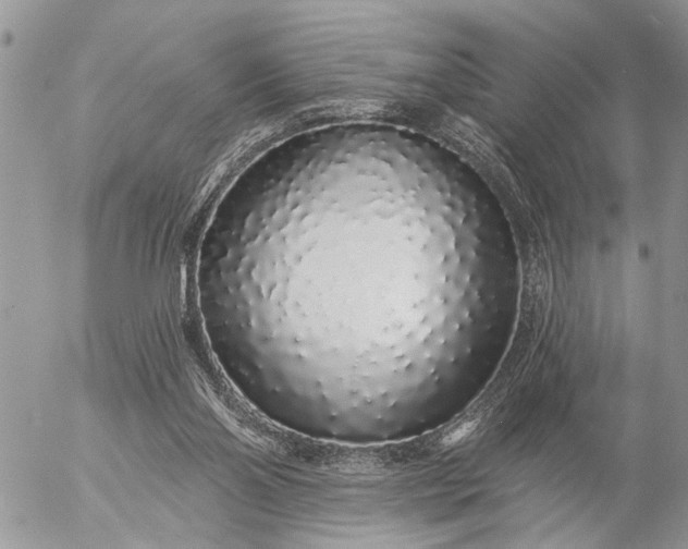 X0000057090110200509231700