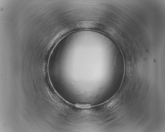 X0000057090111200509231700