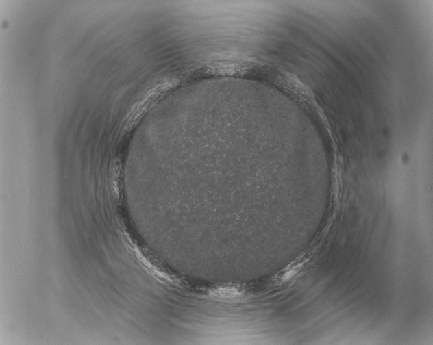 X0000057090114200509231700