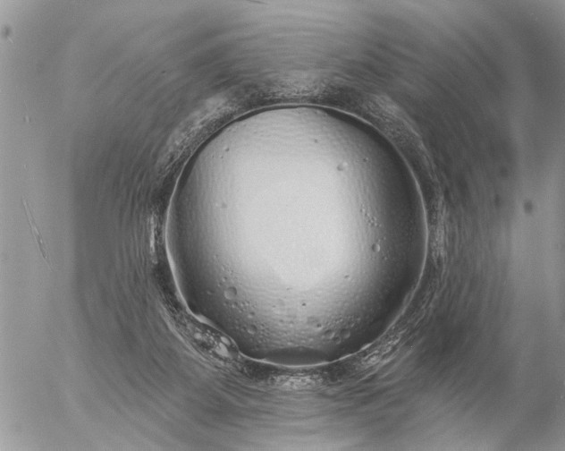 X0000057090115200509231700