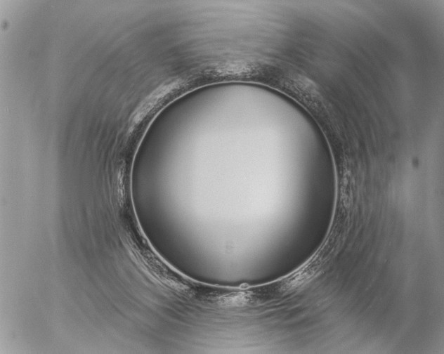 X0000057090116200509231700