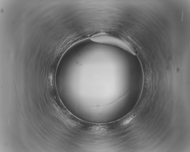 X0000057090117200509231700