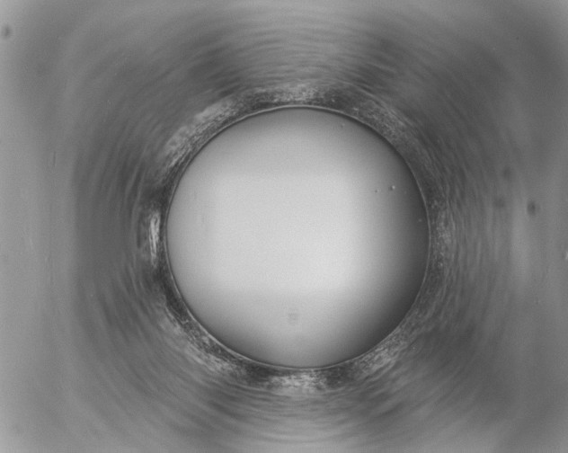 X0000057090118200509231700