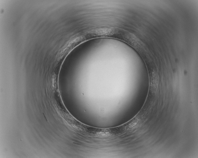 X0000057090119200509231700