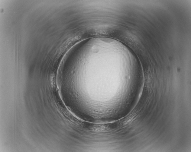 X0000057090123200509231700