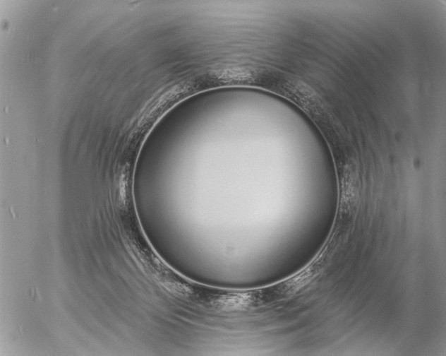 X0000057090124200509231700