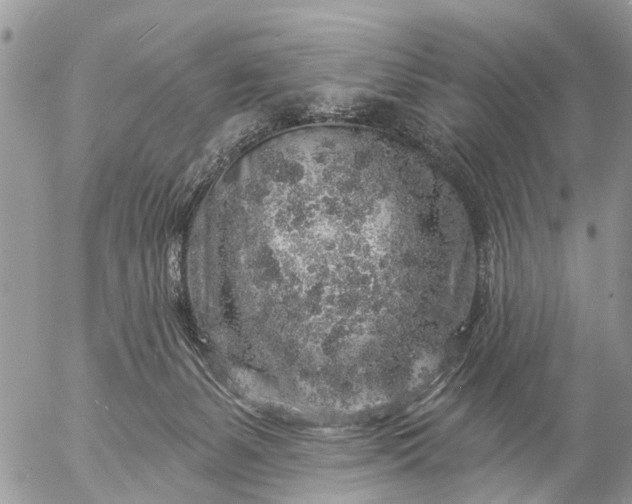 X0000057090127200509231700