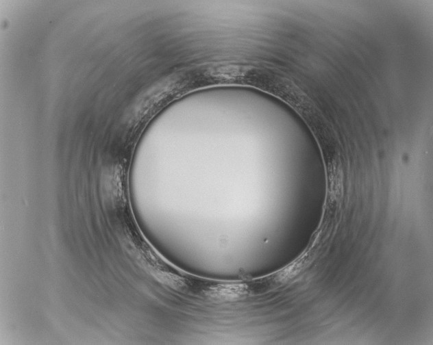 X0000057090128200509231700