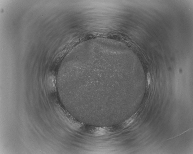 X0000057090130200509231700