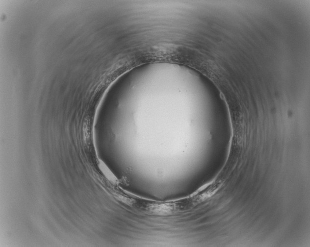 X0000057090131200509231659