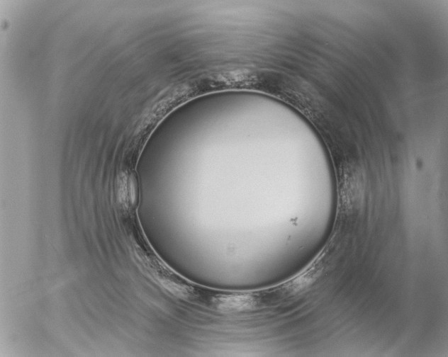 X0000057090132200509231659