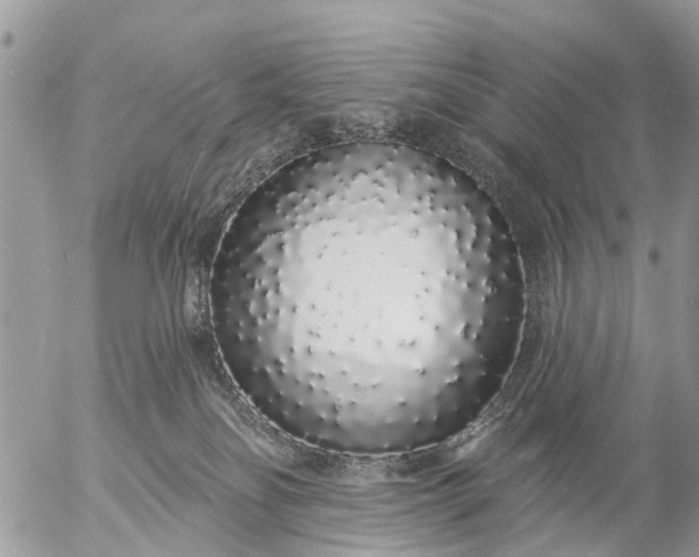 X0000057090134200509231659