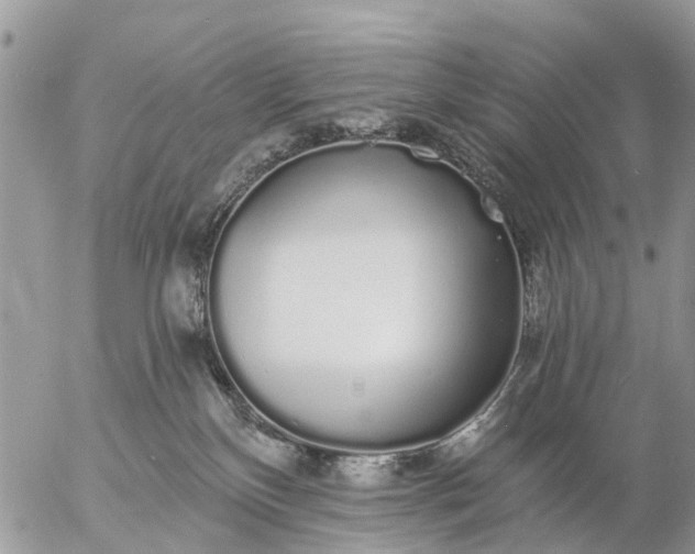 X0000057090136200509231659