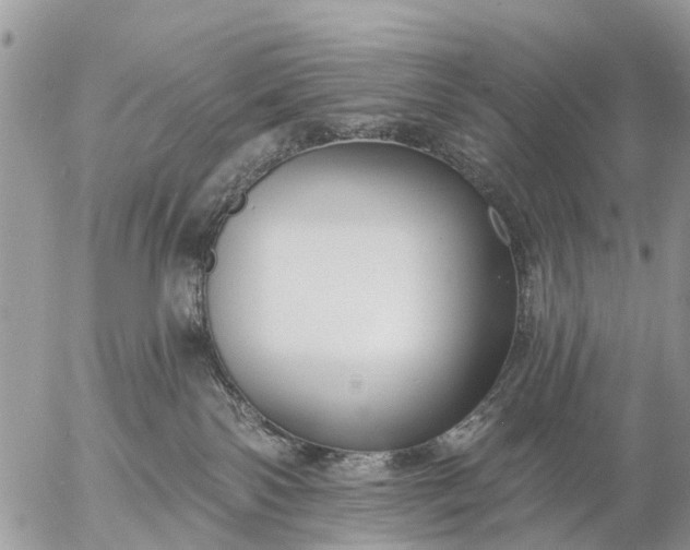 X0000057090138200509231659